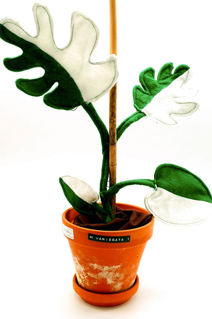 Zimmerpflanze Frieda Monstera (Schnittmuster und Nähanleitung)