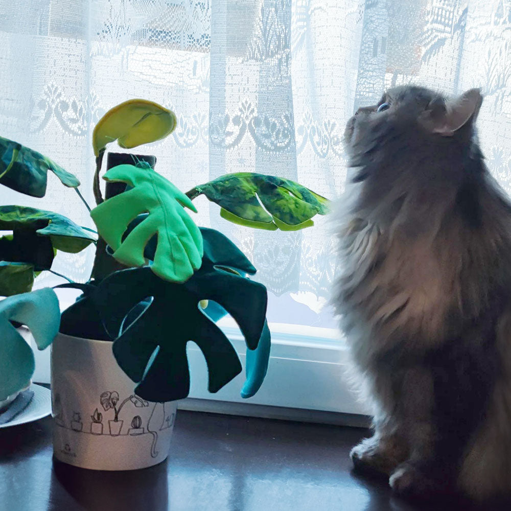 Zimmerpflanze Frieda Monstera (Schnittmuster und Nähanleitung)