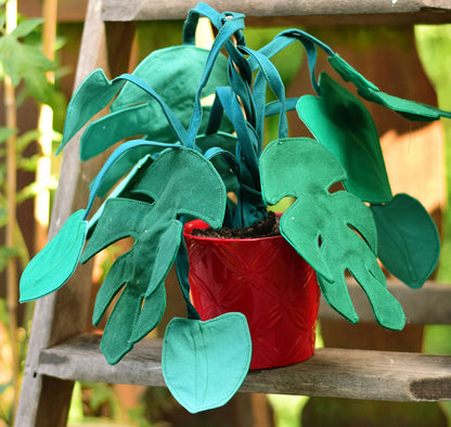 Zimmerpflanze Frieda Monstera (Schnittmuster und Nähanleitung)
